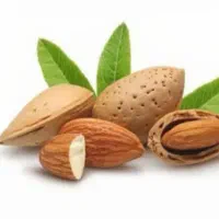 بادام سنگی آذر