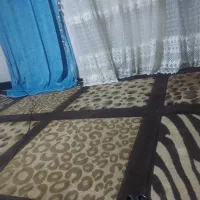 دو تا فرش گلیم ماشینی