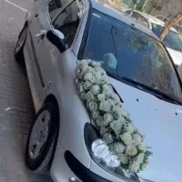 ۲۰۶ تیوفایو اس دی