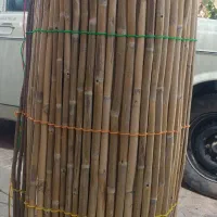 نی بافته
