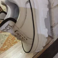 کتونی|کیف، کفش، کمربند|شهریار, شهریار|دیوار