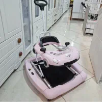 روروئک صورتی