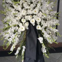 تاج گل|گل و گیاه طبیعی|تهران, فرحزاد|دیوار