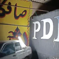 نقاشی دیواری حرفه‌ای  طراحی دستی، قیمت‌ مناسب|تابلو، نقاشی، عکس|بیرجند, |دیوار