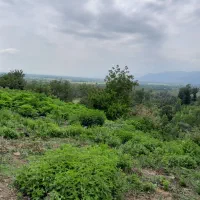 ۵۰۰متر زمین مسکونی ارتفاعات پونل