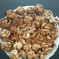 گردو با پوست خشک|خوردنی و آشامیدنی|تهران, شهرک دانشگاه شریف|دیوار