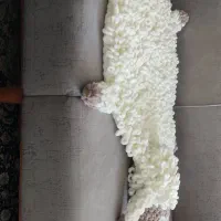 فرشینه ببعی|پادری|قم, محمد آباد|دیوار