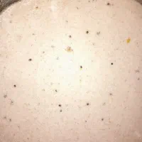 فروش عسل کنار 50کیلو به بالا|خوردنی و آشامیدنی|داراب, |دیوار