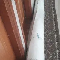 فرش پالاز موکت