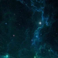 بوم و کالیگرافی نقاشی فرانسوی