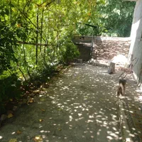 سوئیت در محیطی ارام کنار رودخانه|اجارهٔ کوتاه‌مدت آپارتمان و سوئیت|کوهسار (البرز), |دیوار