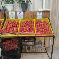 کسب وکار میوه فروشی تاپینگ ترازو طبقات میوه|فروشگاه و مغازه|مشکین‌دشت, |دیوار