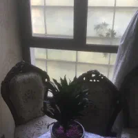 مشارکت یکی از بهترین ملکهای حاشیه سردار جنگل