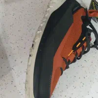 کفش اکو|کیف، کفش، کمربند|رشت, رشتیان|دیوار