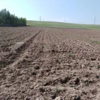 فروش زمین