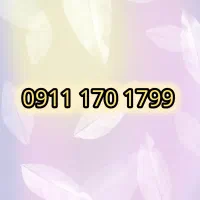 09111701799