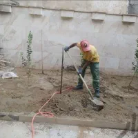 باغبانی و هرس درخت|خدمات باغبانی و درختکاری|بندرعباس, |دیوار