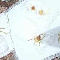 سرویس آشپزخانه عروس