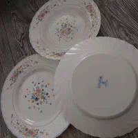 بشقاب و دیس ارکوپال ویکتوریا اصل