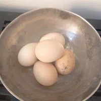 تخم مرغ نطفه دارلاری