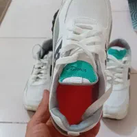 کفش اسپرت سِت نو با هم ۸۰۰|کیف، کفش، کمربند|اصفهان, ارغوانیه|دیوار