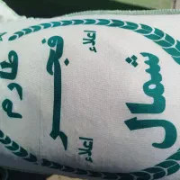 برنج فجر شمال