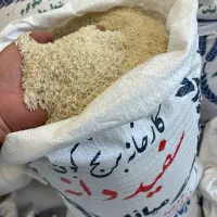 برنج حصار مشمپا و میانه و گوهر طارم (قیمت کارخانه)|خوردنی و آشامیدنی|زنجان, |دیوار