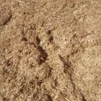 کاه|عمده‌فروشی|شراء, |دیوار