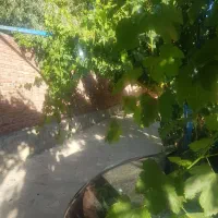 تبریز گوگان ویلا با‌غ با استخر و شیک آماده سکونت|فروش خانه و ویلا|گوگان, |دیوار