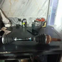 پلوس فیدلیتی