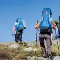 طبیعت گرد وهمراه