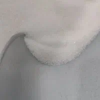 شکر قیمت تعاونی
