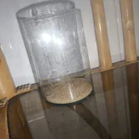 ماهی گوپی