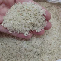برنج درجه یک ابرج به شرط کیلویی ۳۵۰۰۰۰تومان