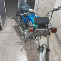 فروشی هست|پرنده|شیراز, ده پیاله|دیوار