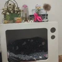 خانه سگ و گربه