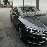 ماشین عروس|گل و گیاه طبیعی|تهران, صادقیه|دیوار