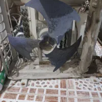 فروش فن و پنل کولر