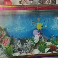آکواریوم بزرگ همراه تجهیزات فروش فوری