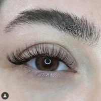 مدل اکستنشن