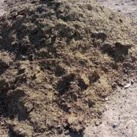 کود گوسفندی