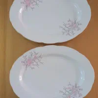 دیس چینی|ظروف سرو و پذیرایی|قم, ناصردیوان|دیوار