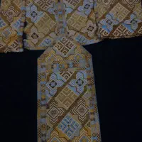 دو عدد زی استین