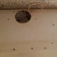 هود بیمکث|هود|آران و بیدگل, |دیوار