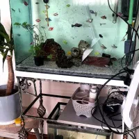 اکواریوم کامل با تمام تجهیزات