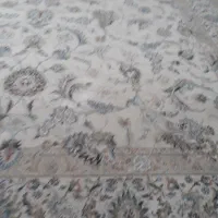 فرش شونهر آلمان ۱۲متری