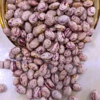 لوبیاچیتی درجه یک ایرانی