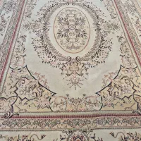 جفت ۹ متری ۵۰۰ شانه  گوشتی ، سنگین