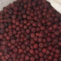 عناب خوشک|خوردنی و آشامیدنی|مشهد, اروند|دیوار