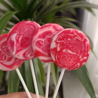 آبنبات چوبی|خوردنی و آشامیدنی|مشهد, امیریه|دیوار